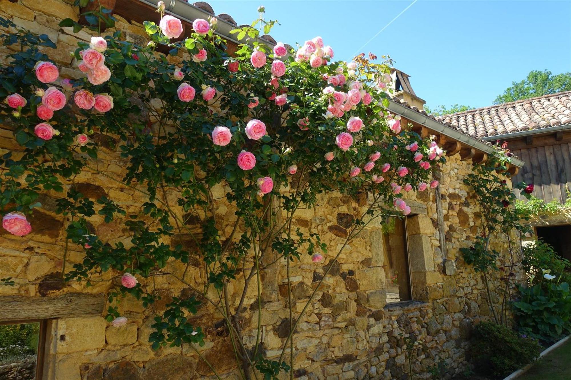 Domaine De Cournet Haut, A 17Th Century Property Set On A Calm, Idyllic Domain With Pool, Tennis, Bikes And More Les Vauries Eksteriør billede