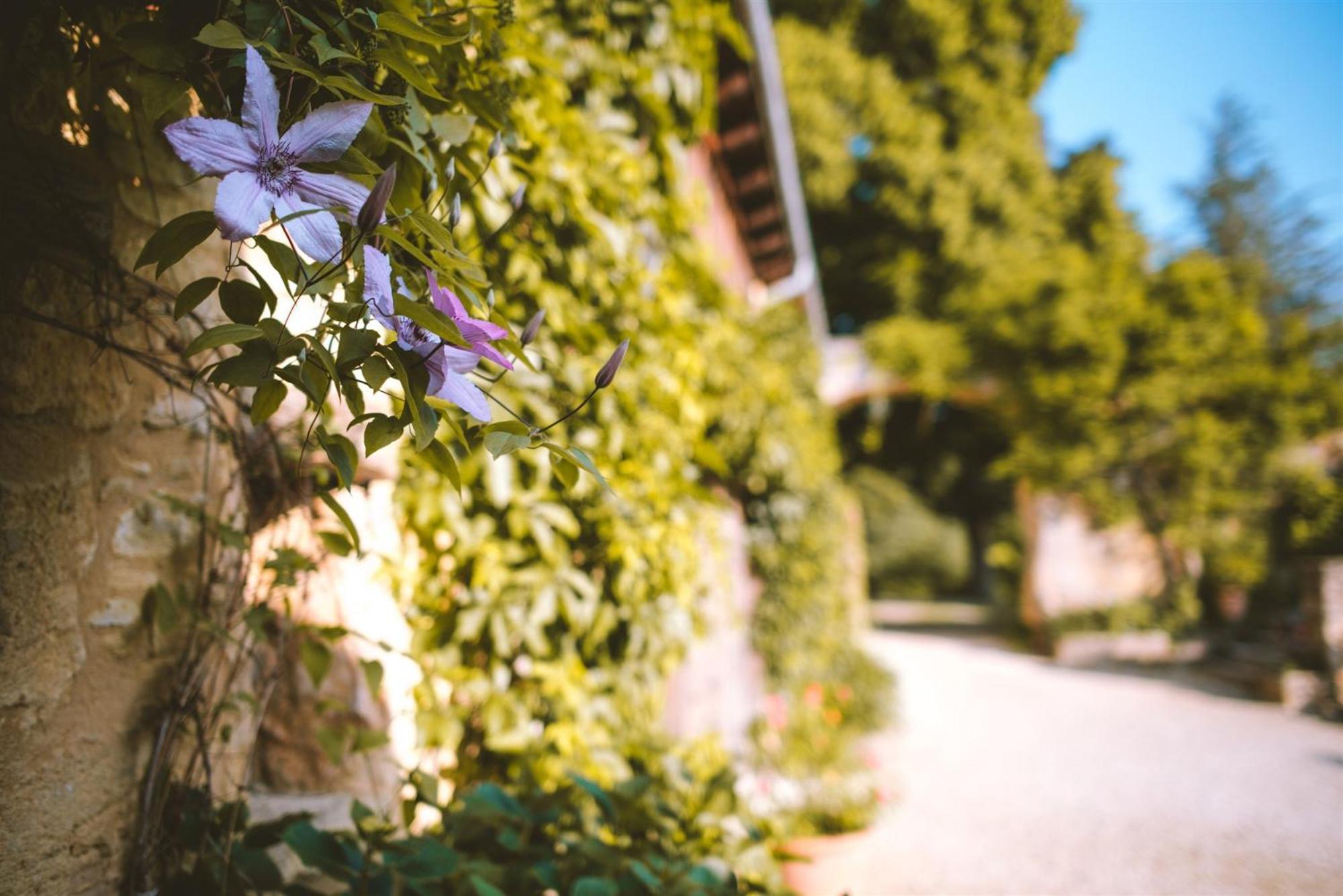 Domaine De Cournet Haut, A 17Th Century Property Set On A Calm, Idyllic Domain With Pool, Tennis, Bikes And More Les Vauries Eksteriør billede