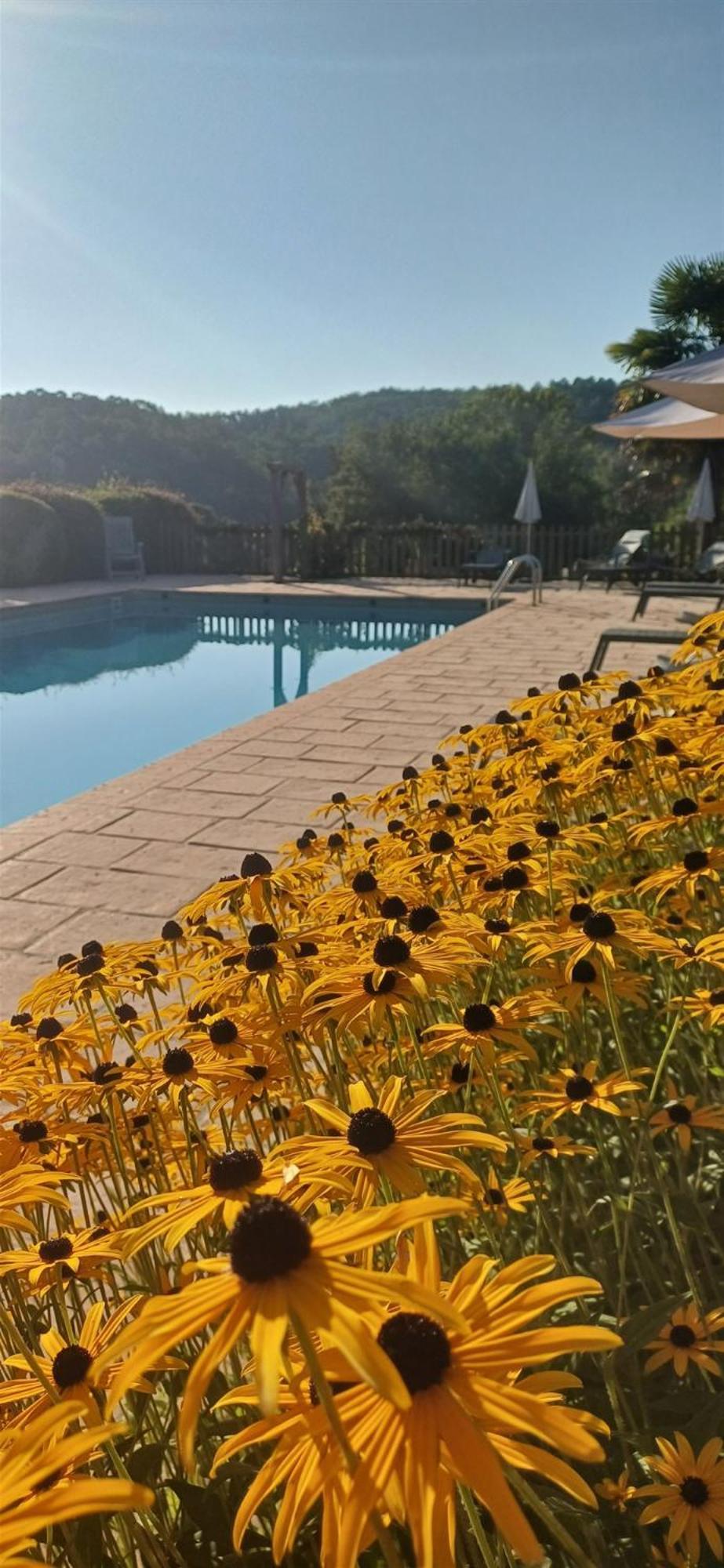 Domaine De Cournet Haut, A 17Th Century Property Set On A Calm, Idyllic Domain With Pool, Tennis, Bikes And More Les Vauries Eksteriør billede